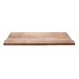 Werzalit Table Top Findus Finish