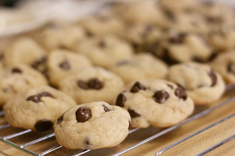 Chocolate Chip Cookie