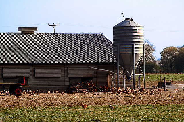 456657634_f5b7dd3c12_z